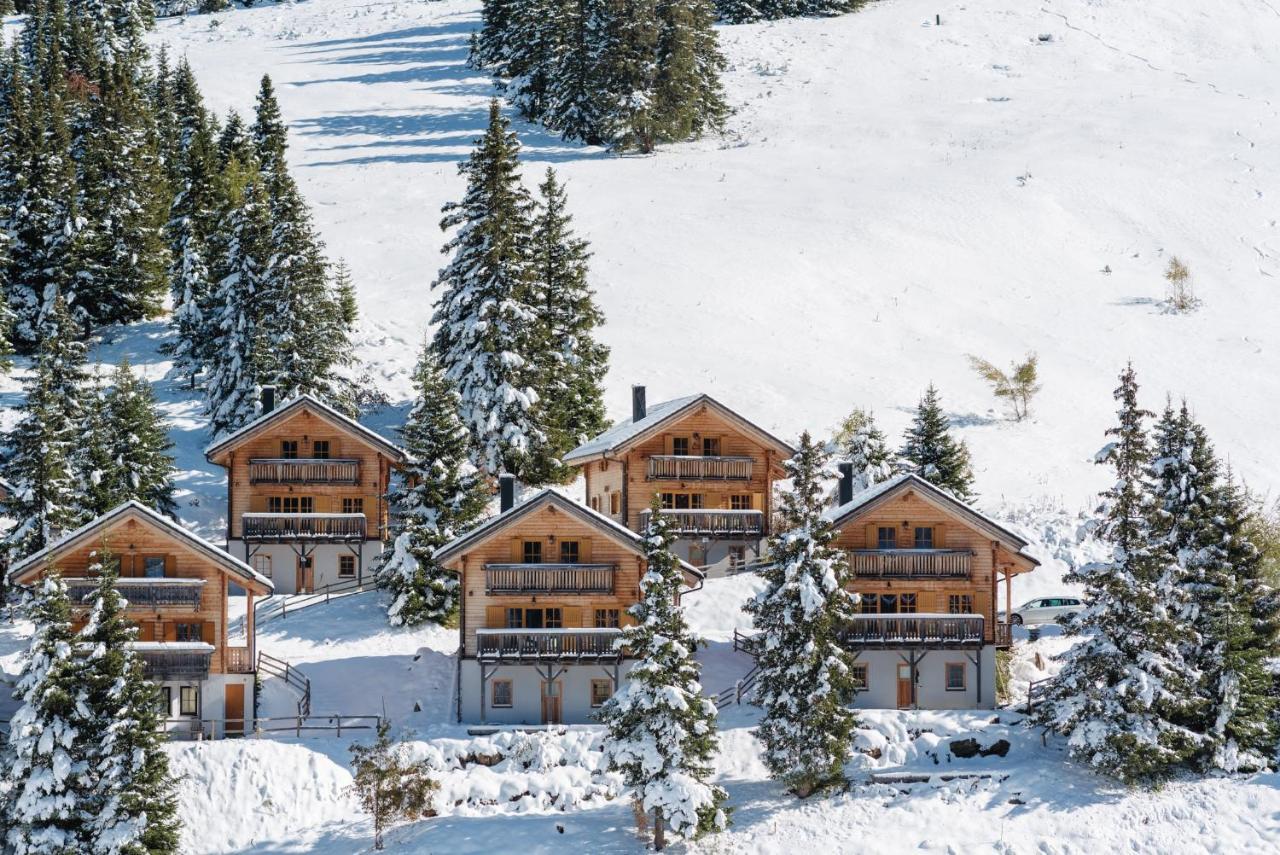 Feriendorf Koralpe Alpenrose Frantschach 外观 照片