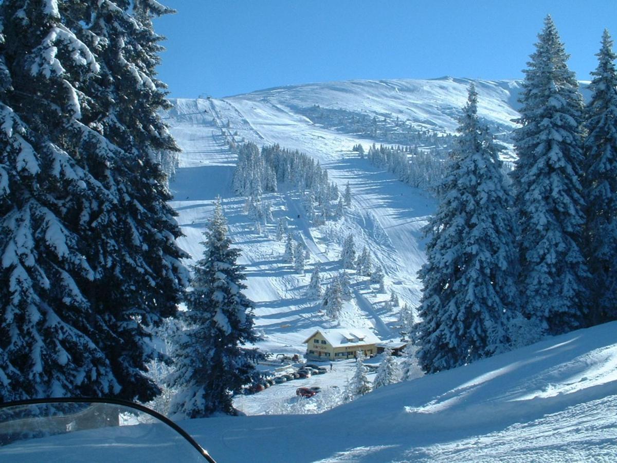 Feriendorf Koralpe Alpenrose Frantschach 外观 照片
