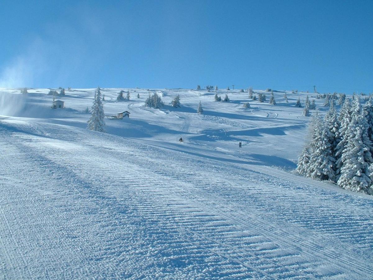Feriendorf Koralpe Alpenrose Frantschach 外观 照片