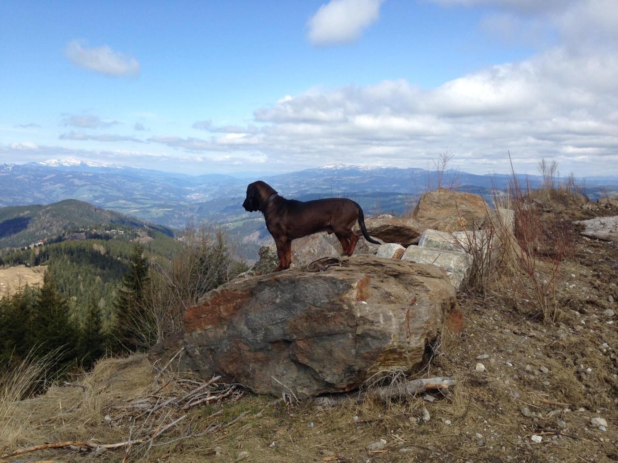Feriendorf Koralpe Alpenrose Frantschach 外观 照片